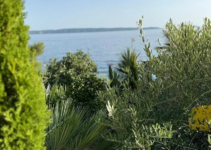 Villa Beachfront Leonardo With Pool Trogir